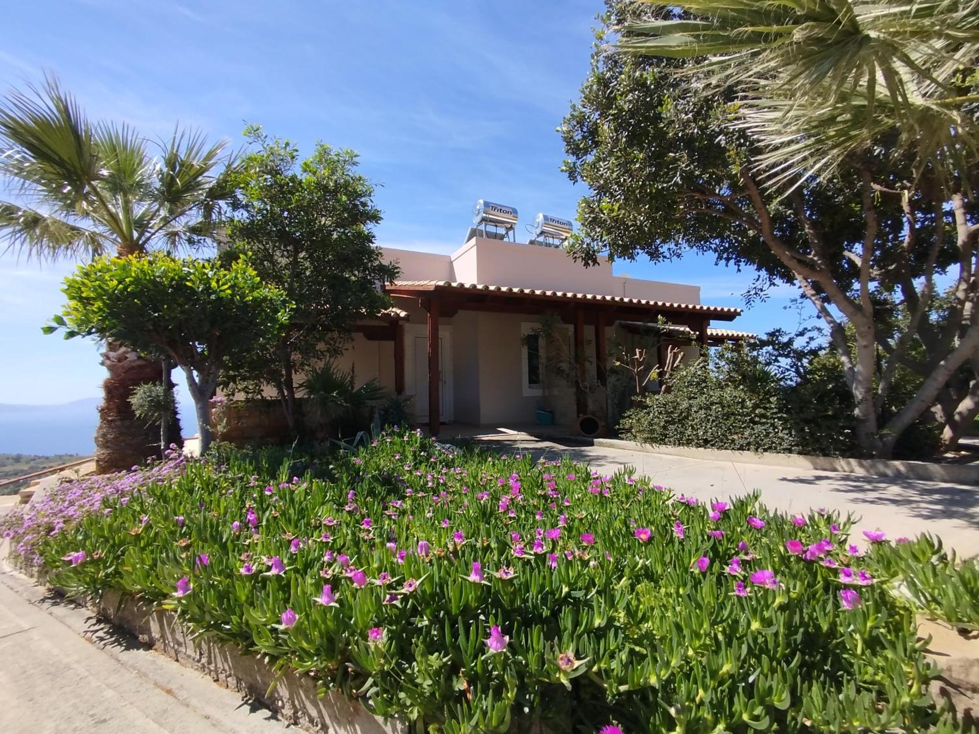 Alexena Apartments Agia Galini  Luaran gambar