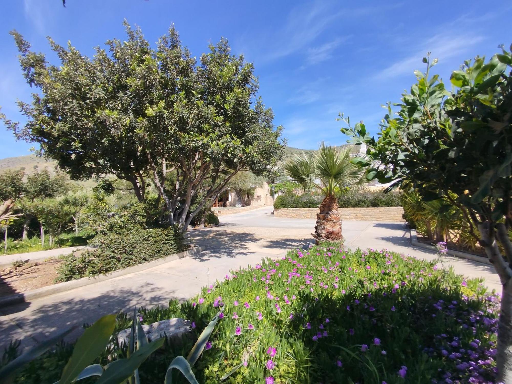Alexena Apartments Agia Galini  Luaran gambar